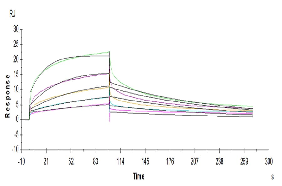 SPR Assay - Recombinant Human CD16a Protein (C-terminal His and Avi Tag) (A331585) - Antibodies.com