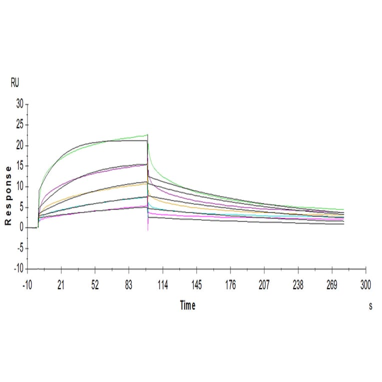 SPR Assay - Recombinant Human CD16a Protein (C-terminal His and Avi Tag) (A331585) - Antibodies.com