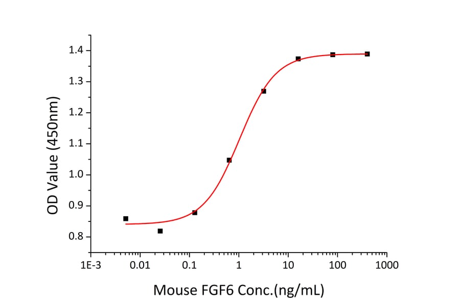 Proliferation Assay - Recombinant Mouse FGF6 Protein (A331594) - Antibodies.com