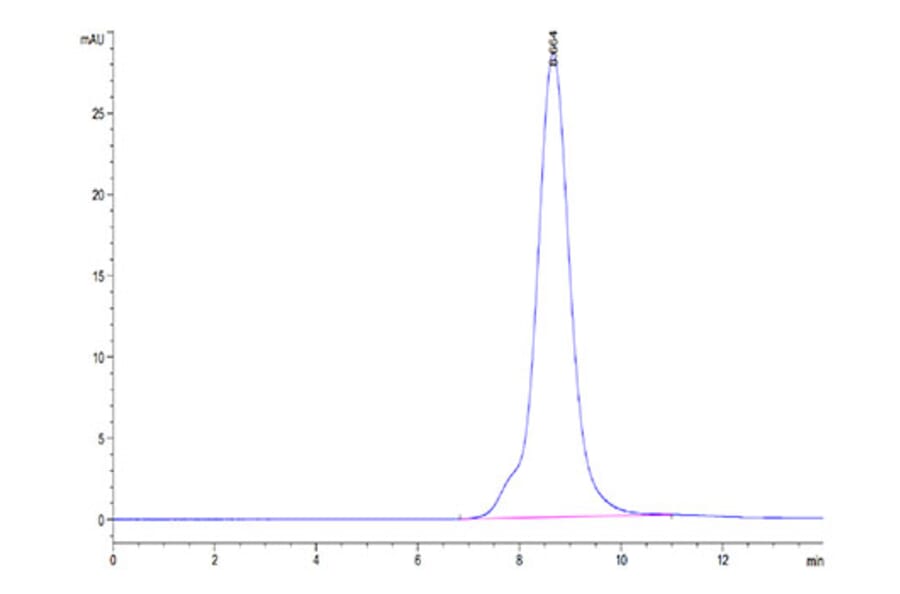 SEC-HPLC - Recombinant Mouse CD332 Protein (C-terminal His Tag) (A331597) - Antibodies.com
