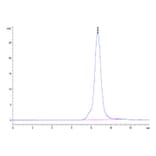 SEC-HPLC - Recombinant Mouse CD332 Protein (C-terminal His Tag) (A331597) - Antibodies.com