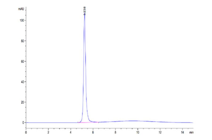 SEC-HPLC - Recombinant Cynomolgus macaque FGL1 Protein (N-terminal Human Fc Tag) (A331600) - Antibodies.com