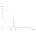 SEC-HPLC - Recombinant Cynomolgus macaque FGL1 Protein (N-terminal Human Fc Tag) (A331600) - Antibodies.com