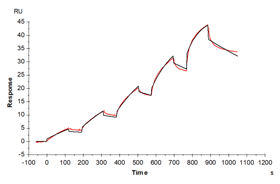 SPR Assay - Recombinant Mouse Galectin 3 Protein (C-terminal His Tag) (A331606) - Antibodies.com