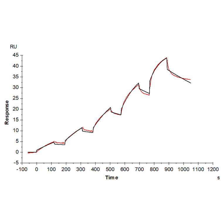 SPR Assay - Recombinant Mouse Galectin 3 Protein (C-terminal His Tag) (A331606) - Antibodies.com