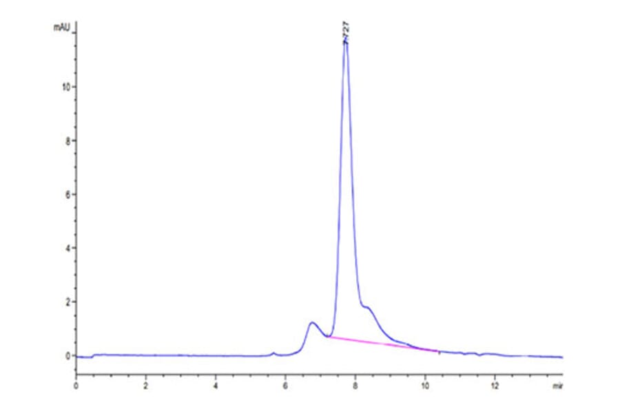 SEC-HPLC - Recombinant Mouse Latent TGF beta 1 Protein (Biotin) (N-terminal His and Avi Tag) (A331608) - Antibodies.com