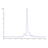 SEC-HPLC - Recombinant Mouse Latent TGF beta 1 Protein (Biotin) (N-terminal His and Avi Tag) (A331608) - Antibodies.com
