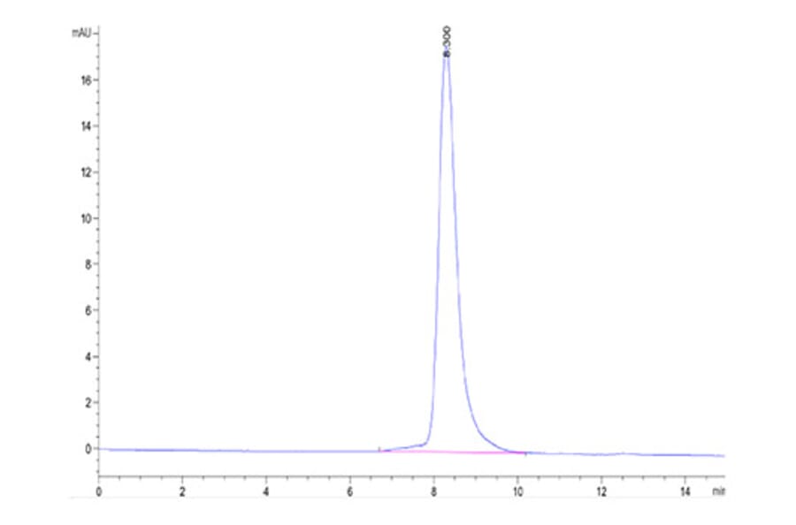 SEC-HPLC - Recombinant Mouse GAS6 Protein (C-terminal His Tag) (A331609) - Antibodies.com
