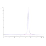 SEC-HPLC - Recombinant Mouse GFRAL Protein (N-terminal His and Avi Tag) (A331610) - Antibodies.com