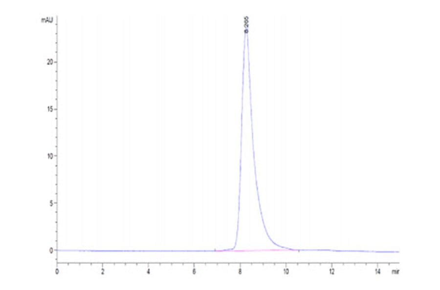 SEC-HPLC - Recombinant Mouse GFRAL Protein (Biotin) (N-terminal His and Avi Tag) (A331611) - Antibodies.com