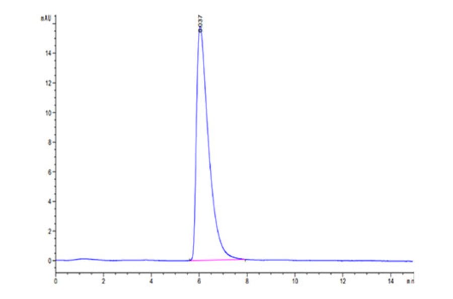 SEC-HPLC - Recombinant Cynomolgus macaque Glypican 3 Protein (C-terminal His Tag) (A331613) - Antibodies.com