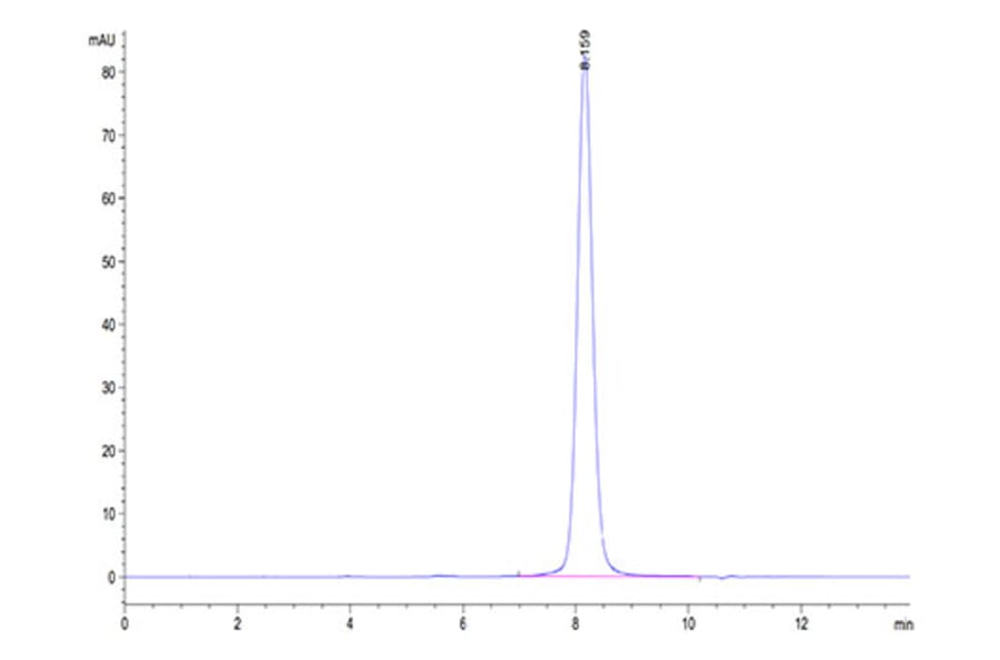 SEC-HPLC - Recombinant Cynomolgus macaque GUCY2C Protein (C-terminal His Tag) (A331617) - Antibodies.com