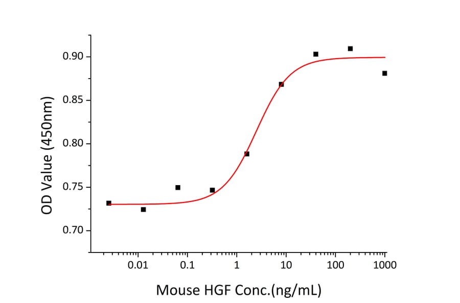 Proliferation Assay - Recombinant Mouse HGF Protein (C-terminal His Tag) (A331620) - Antibodies.com