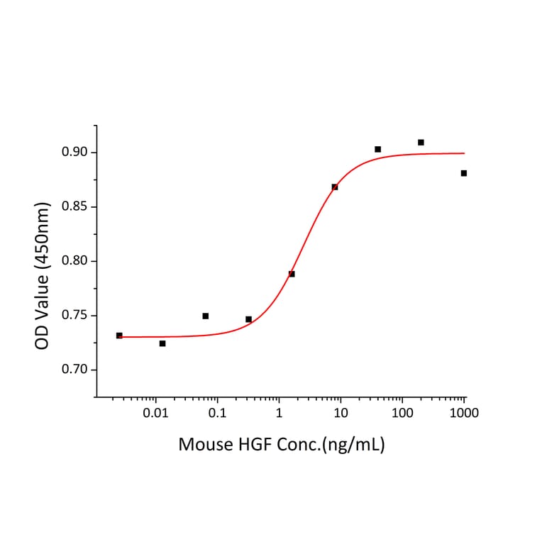 Proliferation Assay - Recombinant Mouse HGF Protein (C-terminal His Tag) (A331620) - Antibodies.com