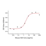 Proliferation Assay - Recombinant Mouse HGF Protein (C-terminal His Tag) (A331620) - Antibodies.com