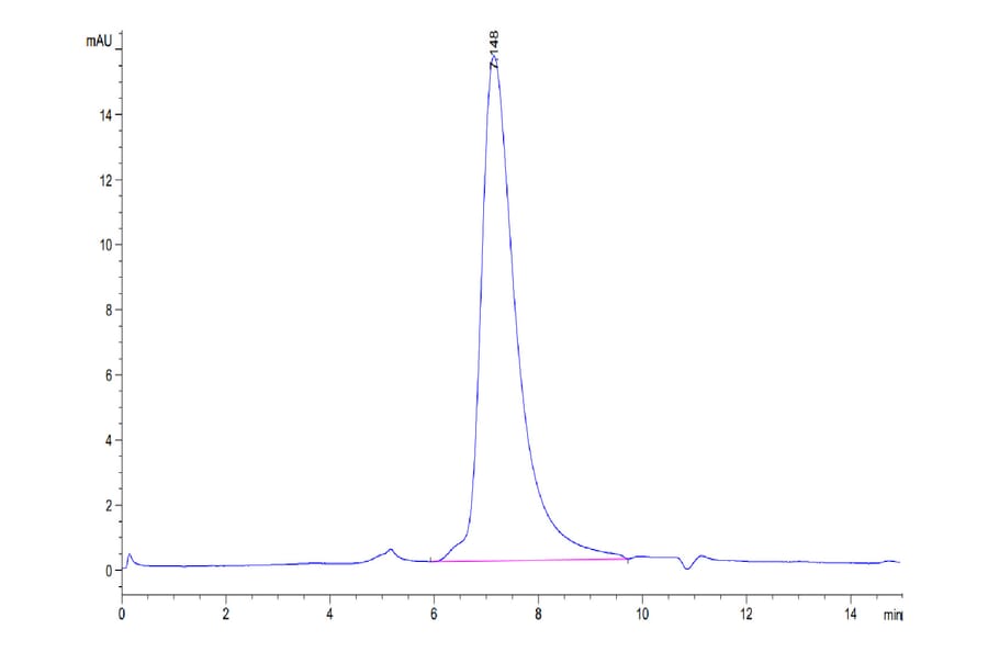 SEC-HPLC - Recombinant Human EGFR Protein (Biotin) (C-terminal His and Avi Tag) (A331621) - Antibodies.com