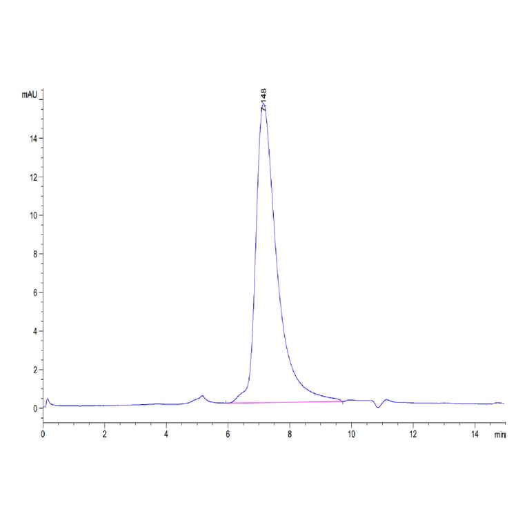SEC-HPLC - Recombinant Human EGFR Protein (Biotin) (C-terminal His and Avi Tag) (A331621) - Antibodies.com