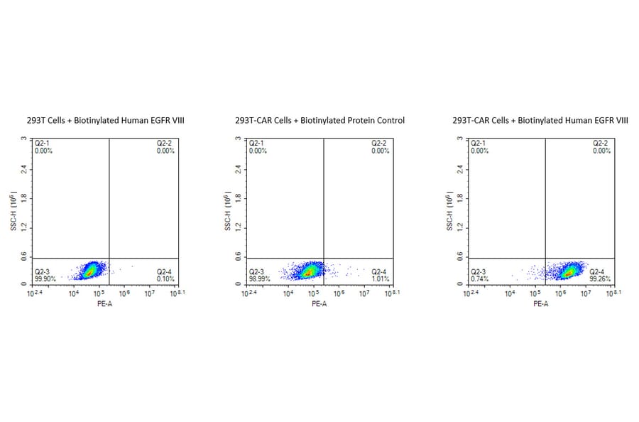 Flow Cytometry - Recombinant Human EGFR Protein (Biotin) (C-terminal His and Avi Tag) (A331621) - Antibodies.com