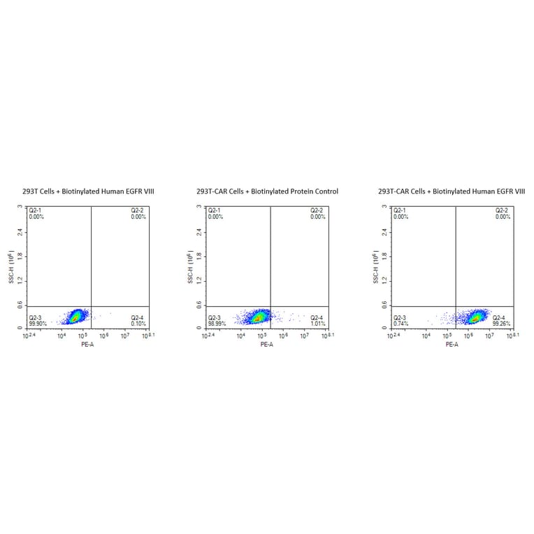 Flow Cytometry - Recombinant Human EGFR Protein (Biotin) (C-terminal His and Avi Tag) (A331621) - Antibodies.com