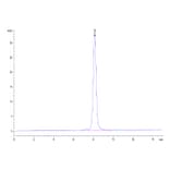 SEC-HPLC - Recombinant Human EGFR Protein (C-terminal His and Avi Tag) (A331622) - Antibodies.com