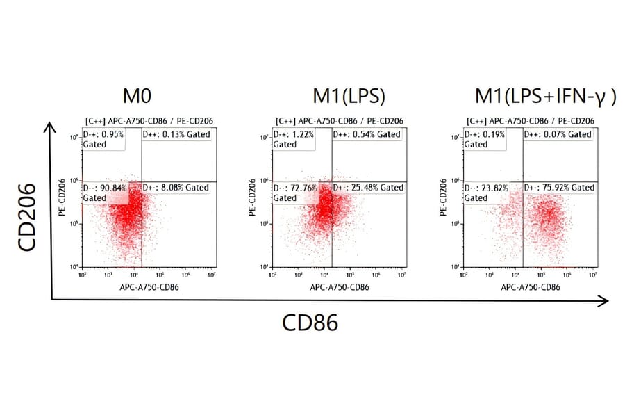 Flow Cytometry - Recombinant Mouse IFN gamma Protein (C-terminal Human Fc and His Tag) (A331638) - Antibodies.com
