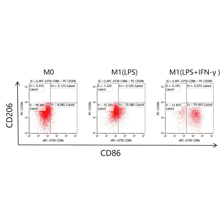 Flow Cytometry - Recombinant Mouse IFN gamma Protein (C-terminal Human Fc and His Tag) (A331638) - Antibodies.com