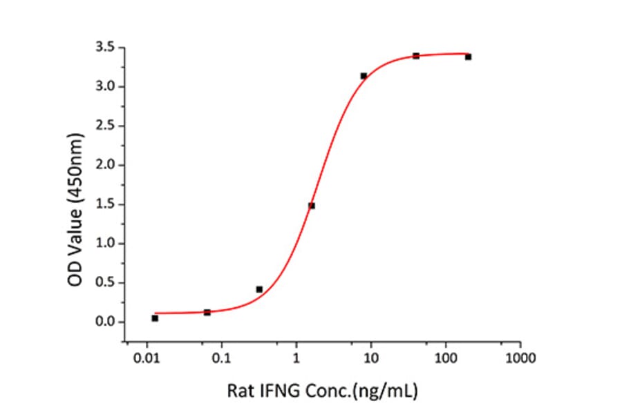 Standard Curve - Recombinant Rat IFN gamma Protein (C-terminal Human Fc and His Tag) (A331640) - Antibodies.com