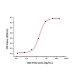 Standard Curve - Recombinant Rat IFN gamma Protein (C-terminal Human Fc and His Tag) (A331640) - Antibodies.com