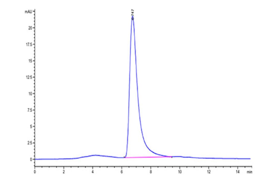 SEC-HPLC - Recombinant Cynomolgus macaque IgE Protein (C-terminal His and Avi Tag) (A331643) - Antibodies.com