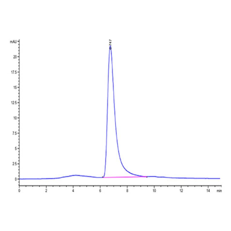 SEC-HPLC - Recombinant Cynomolgus macaque IgE Protein (C-terminal His and Avi Tag) (A331643) - Antibodies.com