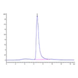 SEC-HPLC - Recombinant Cynomolgus macaque IgE Protein (C-terminal His and Avi Tag) (A331643) - Antibodies.com