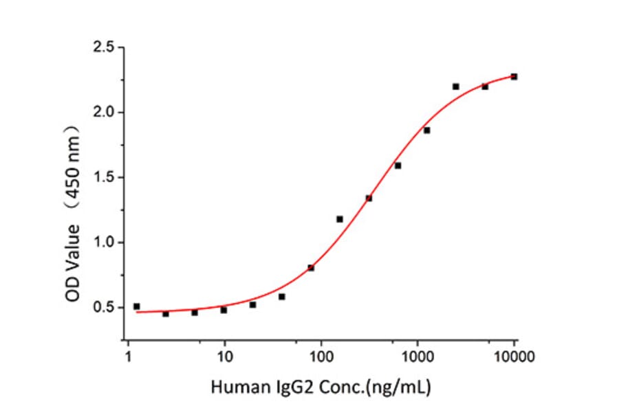 Standard Curve - Recombinant Human IgG2A Protein (A331653) - Antibodies.com