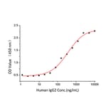 Standard Curve - Recombinant Human IgG2A Protein (A331653) - Antibodies.com