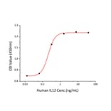 Proliferation Assay - Recombinant Human IL-12A + IL-12B Protein (C-terminal His (IL12B) and Flag Tag (IL12A)) (A331659) - Antibodies.com
