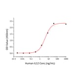 Standard Curve - Recombinant Human IL-12A + IL-12B Protein (C-terminal His (IL12B) and Flag Tag (IL12A)) (A331659) - Antibodies.com