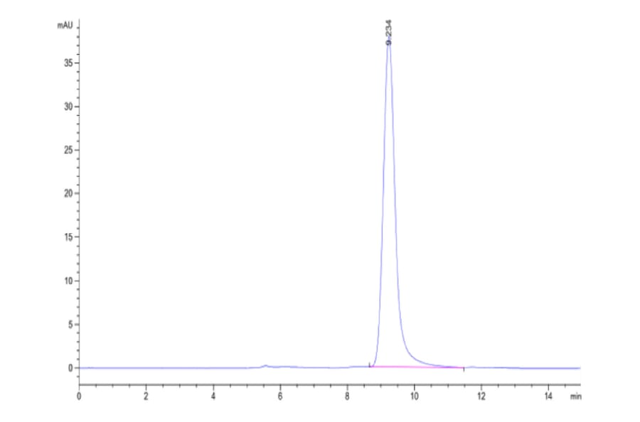 SEC-HPLC - Recombinant Human IL-23A + IL-12B Protein (Biotin) (C-terminal His and Avi Tag) (A331685) - Antibodies.com