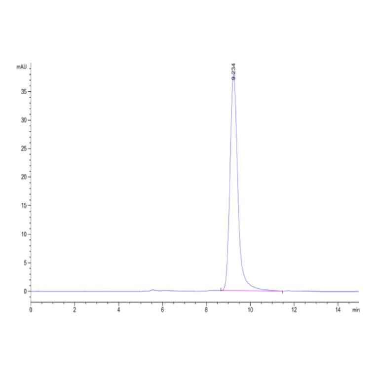 SEC-HPLC - Recombinant Human IL-23A + IL-12B Protein (Biotin) (C-terminal His and Avi Tag) (A331685) - Antibodies.com