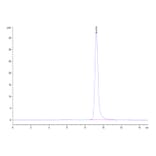 SEC-HPLC - Recombinant Human IL-23A + IL-12B Protein (Biotin) (C-terminal His and Avi Tag) (A331685) - Antibodies.com