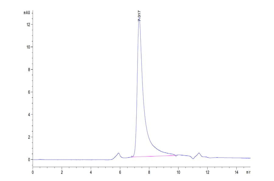 SEC-HPLC - Recombinant Human IL-23A + IL-12B Protein (C-terminal His and Avi Tag) (A331686) - Antibodies.com