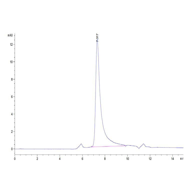 SEC-HPLC - Recombinant Human IL-23A + IL-12B Protein (C-terminal His and Avi Tag) (A331686) - Antibodies.com