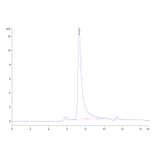 SEC-HPLC - Recombinant Human IL-23A + IL-12B Protein (C-terminal His and Avi Tag) (A331686) - Antibodies.com