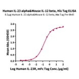 Standard Curve - Recombinant Human IL-23A + IL-12B Protein (C-terminal His and Avi Tag) (A331686) - Antibodies.com