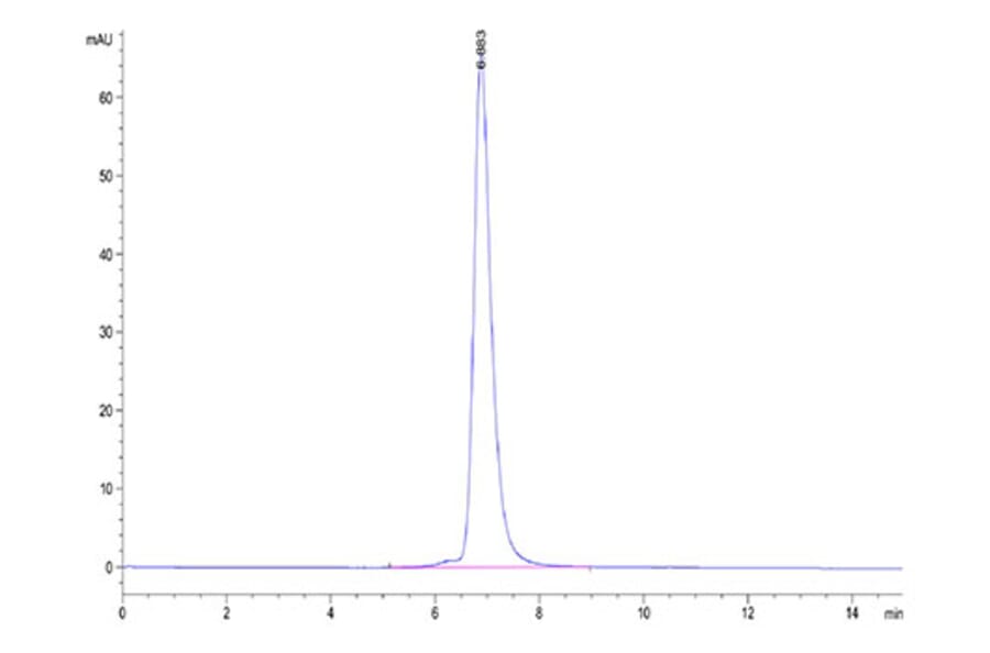 SEC-HPLC - Recombinant Cynomolgus macaque IL2 Receptor beta Protein (C-terminal His Tag) (A331691) - Antibodies.com