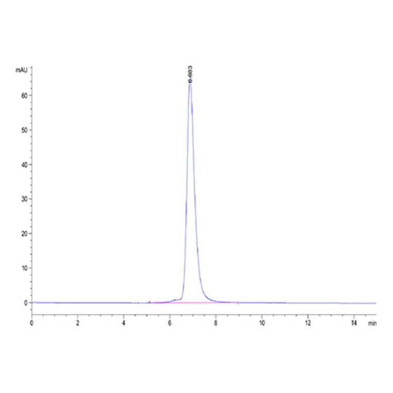 SEC-HPLC - Recombinant Cynomolgus macaque IL2 Receptor beta Protein (C-terminal His Tag) (A331691) - Antibodies.com