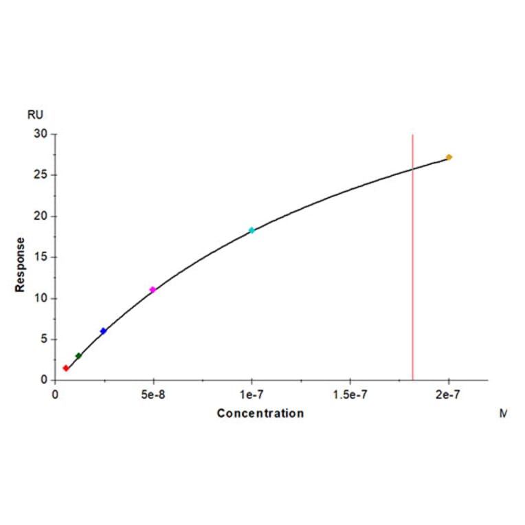 SPR Assay - Recombinant Cynomolgus macaque IL2 Receptor beta Protein (C-terminal His Tag) (A331691) - Antibodies.com