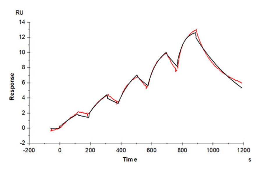 SPR Assay - Recombinant Cynomolgus macaque IL-3RA Protein (C-terminal His Tag) (A331695) - Antibodies.com
