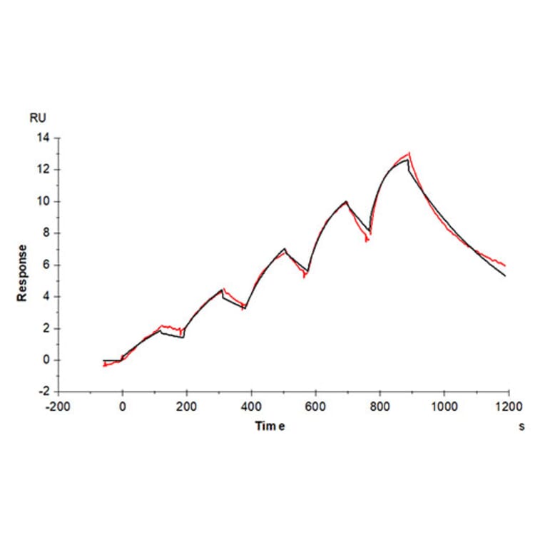 SPR Assay - Recombinant Cynomolgus macaque IL-3RA Protein (C-terminal His Tag) (A331695) - Antibodies.com