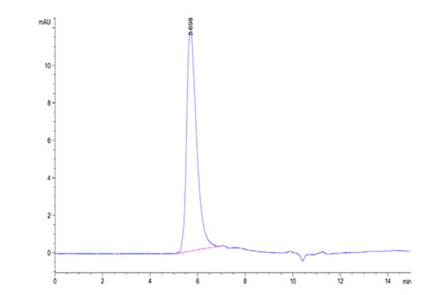 SEC-HPLC - Recombinant Human Integrin alpha V + beta 6 Protein (C-terminal His and Avi Tag) (A331703) - Antibodies.com