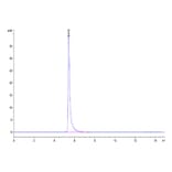 SEC-HPLC - Recombinant Mouse Integrin alpha V + beta 6 Protein (C-terminal His Tag) (A331704) - Antibodies.com