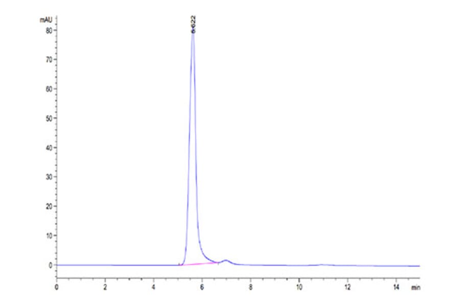 SEC-HPLC - Recombinant Mouse IFNAR1 Protein (C-terminal Human Fc Tag) (A331707) - Antibodies.com